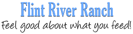 Flint River Logo