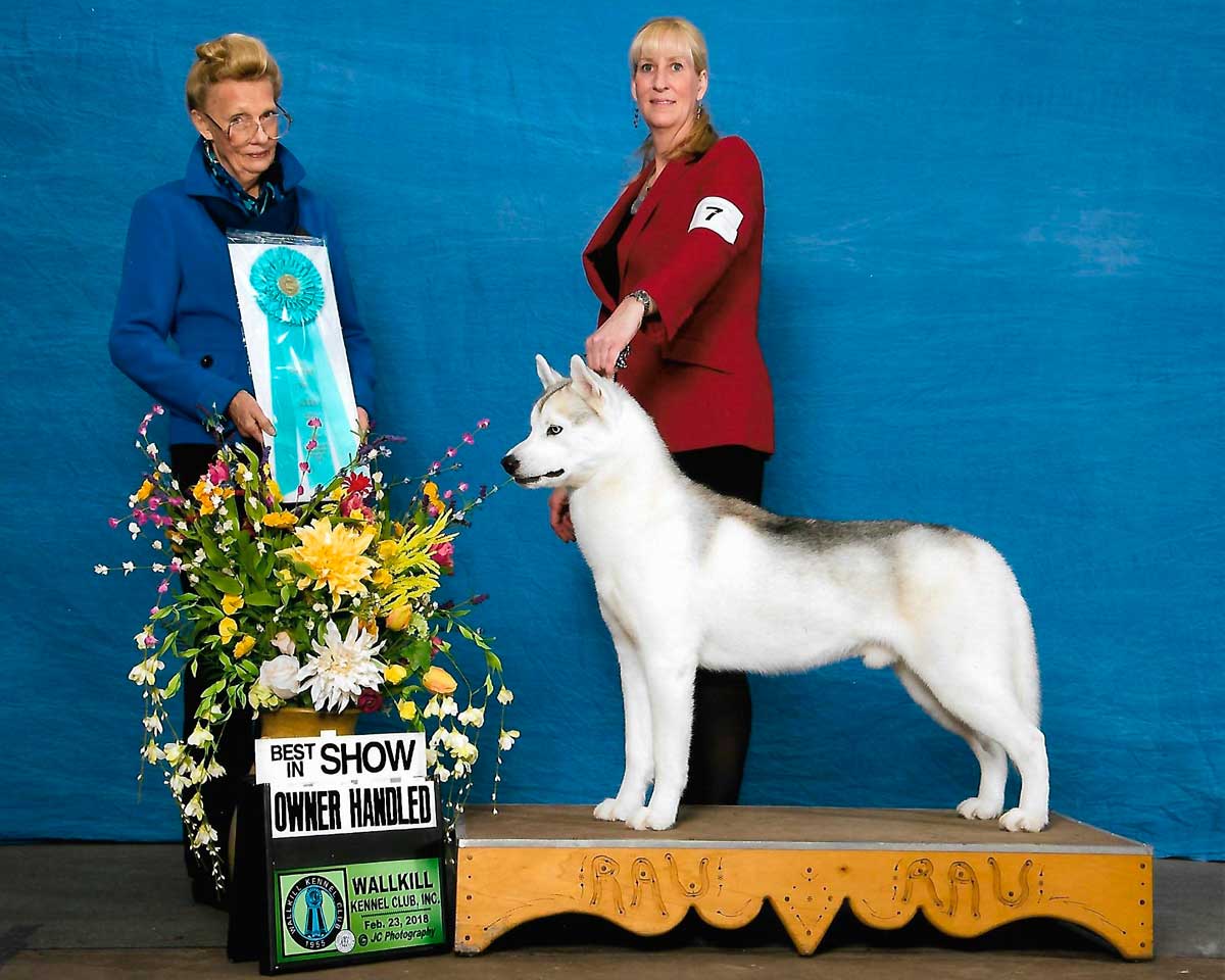 Isle of Dogs Best in Show
